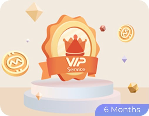 VIP Package - 6 Months